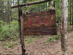 -五营红松林海景区