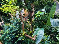 -北京植物园-展览温室