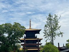 -广富林郊野公园