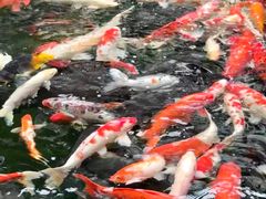 -新世纪大酒楼·30年南海菜
