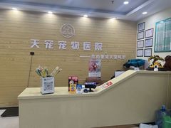 -天宠宠物医院24小时·急重症诊疗中心·全科·腔镜特色(和平分院)