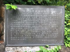 -东澳岛
