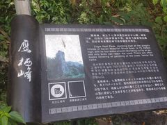 -泽雅七瀑涧景区