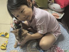 -全心全意连锁动物医院·微创中心·内科急重症·心脏专科(丰管路店)