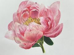 -八哥美术·成人美术画室(总校区)