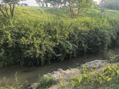 -羊山湖公园
