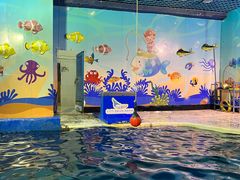 -太平洋海底世界