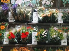 -鹿岛生活(熙地港店)