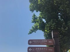 -茯茶镇