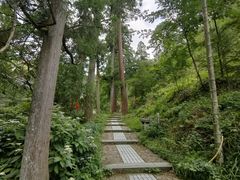 -东天目山风景区