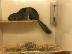 -龙猫仔乐园(惠福东路店)