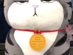 -星悦蓝海欢乐园(石路天虹店)