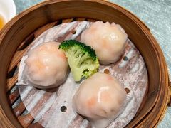 -新雅粤菜馆(南京东路店)