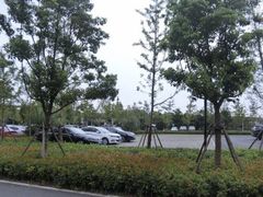 -上海浦江郊野公园·1号停车场