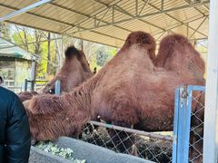 -长白岛森林公园