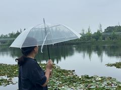 -白鹭湾湿地公园