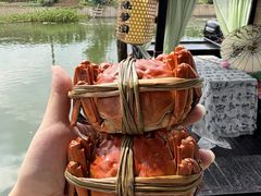 -小陆莲花蟹园农家乐(莲花岛店)