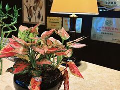 -顺德喜来登酒店·采悦轩