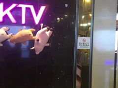 -宝乐星量贩KTV(莲升路店)