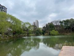 -洋湖国家湿地公园