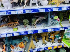-TOYSRUS玩具反斗城(正大广场店)