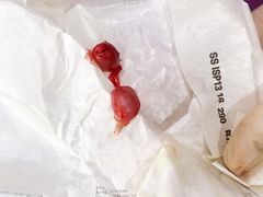 -思琪宠物医院(昆山花桥店)