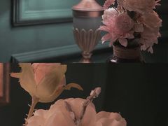 -一棵树咖啡馆(泉乐坊店)