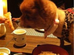 iphone_upload_pic-歌行灯日本料理(伊势丹店)
