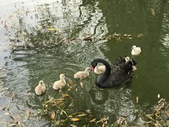 -长兴太湖图影湿地文化园