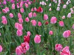 -北京植物园-展览温室