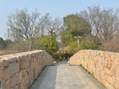 -澹台湖公园