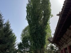 -张掖大佛寺景区