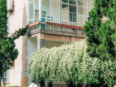 -四川大学(望江校区)