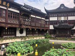 -南翔馒头店(豫园店)