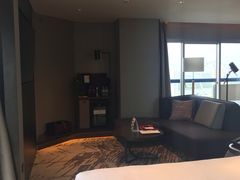 -新加坡瑞士史丹福酒店