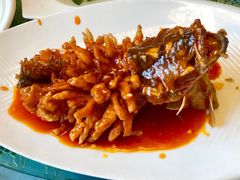 -新聚丰菜馆(太监弄店)