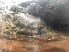 -广州锦绣香江度假别墅