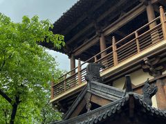 -南山植物园