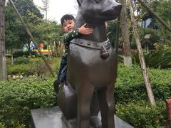 -成飞公园