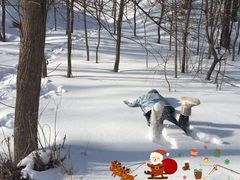 -雪谷
