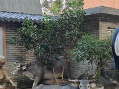 -周大娘牛乳(旧寨古村总店)