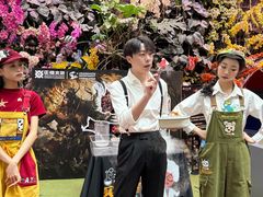 -正佳雨林生态植物园