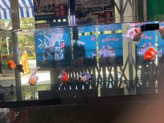 -華歡冰室-WahFoon(吉大店)