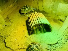 -济南野生动物世界