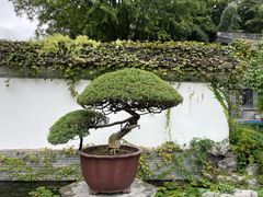 -水绘园