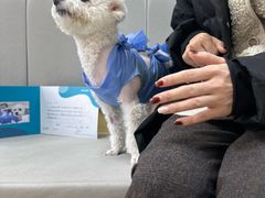-美联众合动物医院·24h转诊中心