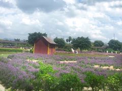 -广东花都香草世界旅游度假区