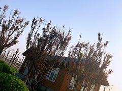 -东疆建设开发纪念公园