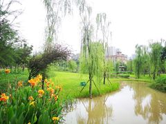 -沐仙湖湿地公园