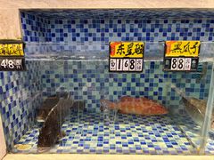 -丰尔粥食·顺德鱼生·干蒸排骨顺德菜(大良分店)